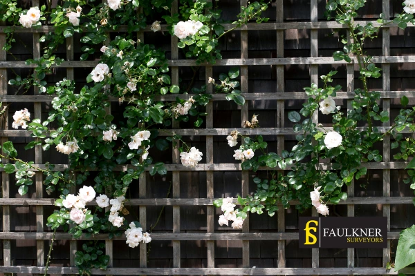 Can I put trellis on my Neighbours garage wall? 2 Do you want to adapt your neighbours garage door and add a trellis Shirley? Talk to Faulkner Surveyor Shirley